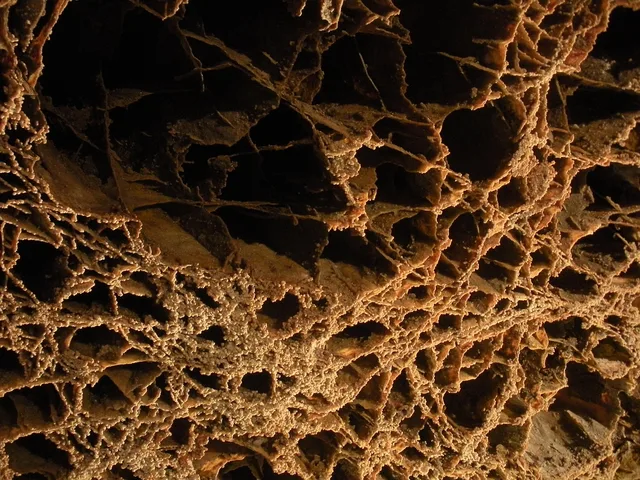 Thin fins of calcite forming box-shaped openings, called boxwork, on a cave ceiling.